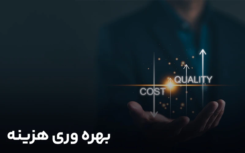 بهره وری هزینه